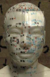 Forehead Left