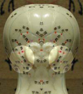 Bilateral occipital pain location