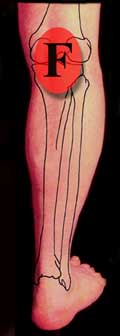 Dot indicating area at back of right knee