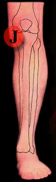 Knee pain located on the front-inside of knee